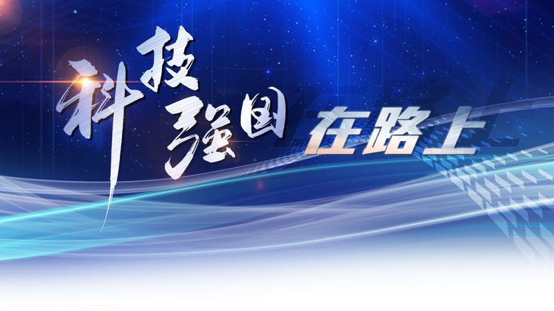 Python数据可视化报表制作：揭秘高效数据分析之道